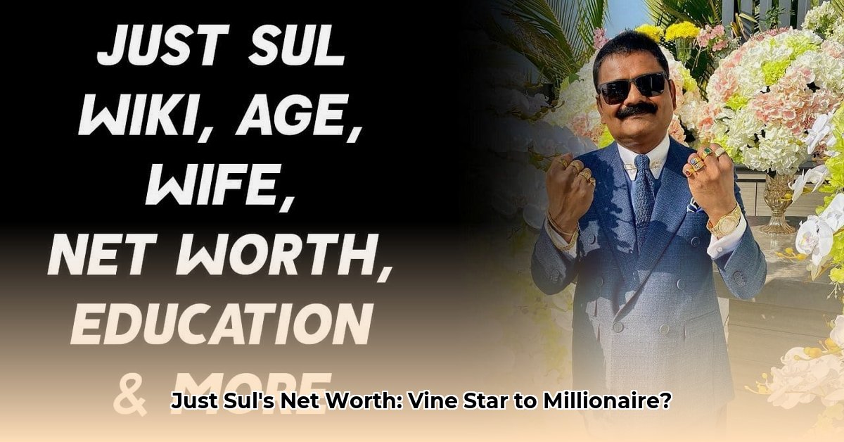 just-sul-net-worth